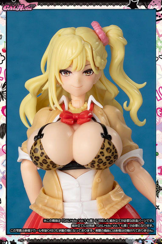 GALHolic Customize Resin Kit Vol.6