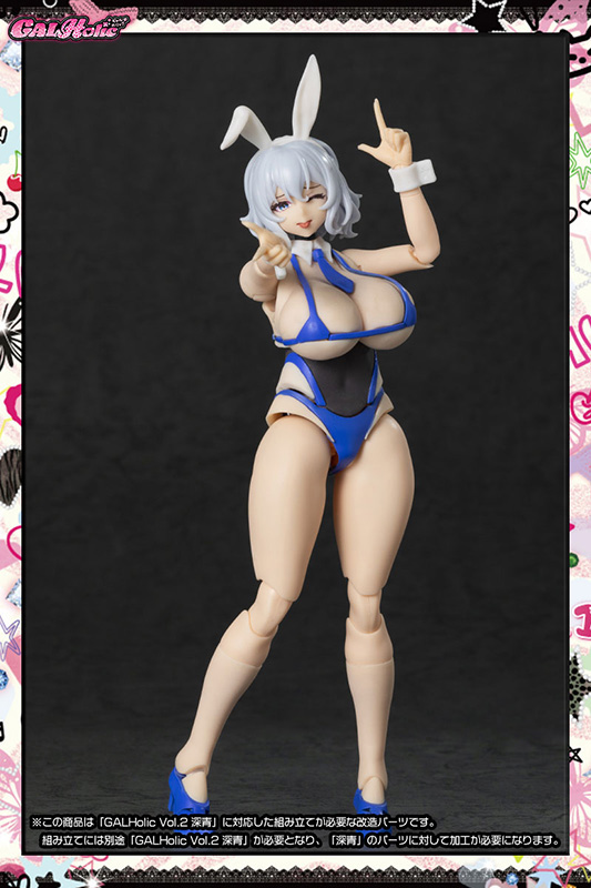 GALHolic Customize Resin Kit Vol.3