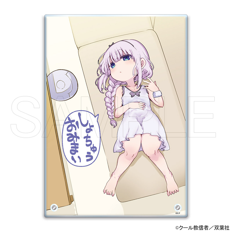 �A�N�����p�l�� �J���i B